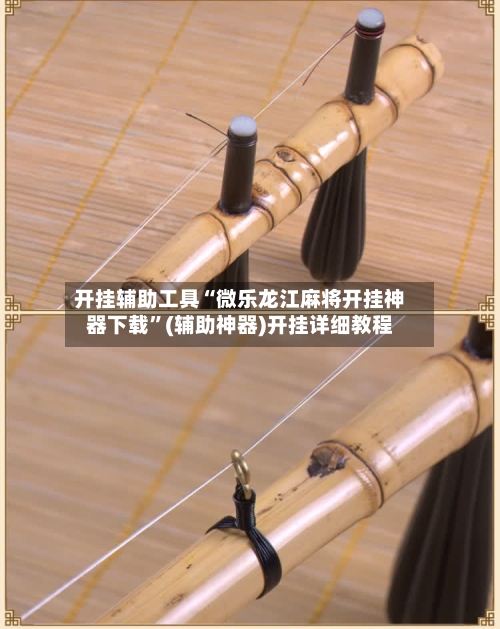 开挂辅助工具“微乐龙江麻将开挂神器下载”(辅助神器)开挂详细教程