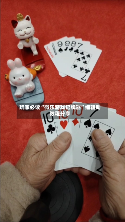 玩家必读“微乐游戏记牌器”细辅助教程分享-第3张图片