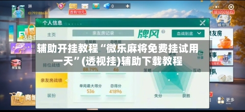 辅助开挂教程“微乐麻将免费挂试用一天”(透视挂)辅助下载教程