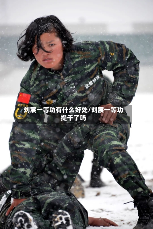 刘宸一等功有什么好处/刘宸一等功提干了吗-第2张图片