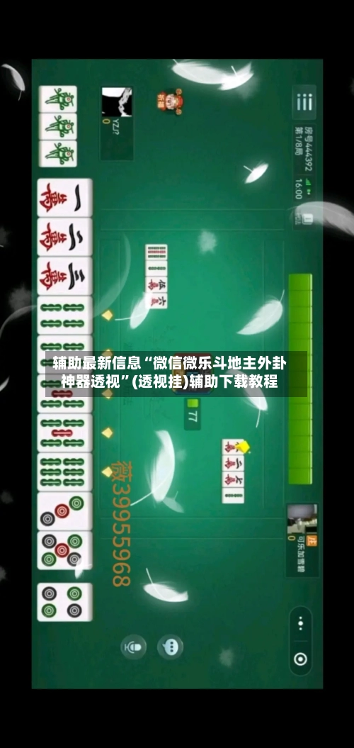 辅助最新信息“微信微乐斗地主外卦神器透视”(透视挂)辅助下载教程-第3张图片