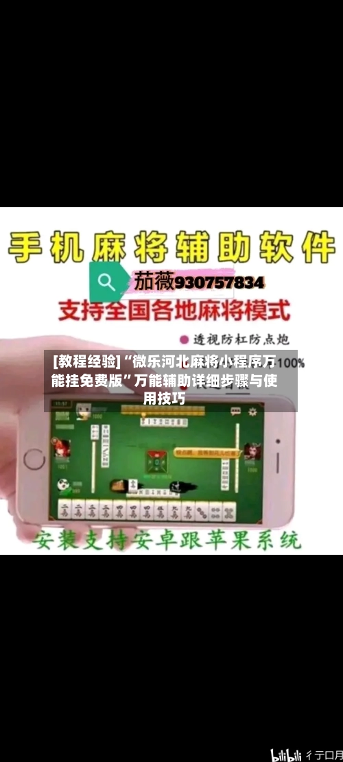 [教程经验]“微乐河北麻将小程序万能挂免费版”万能辅助详细步骤与使用技巧