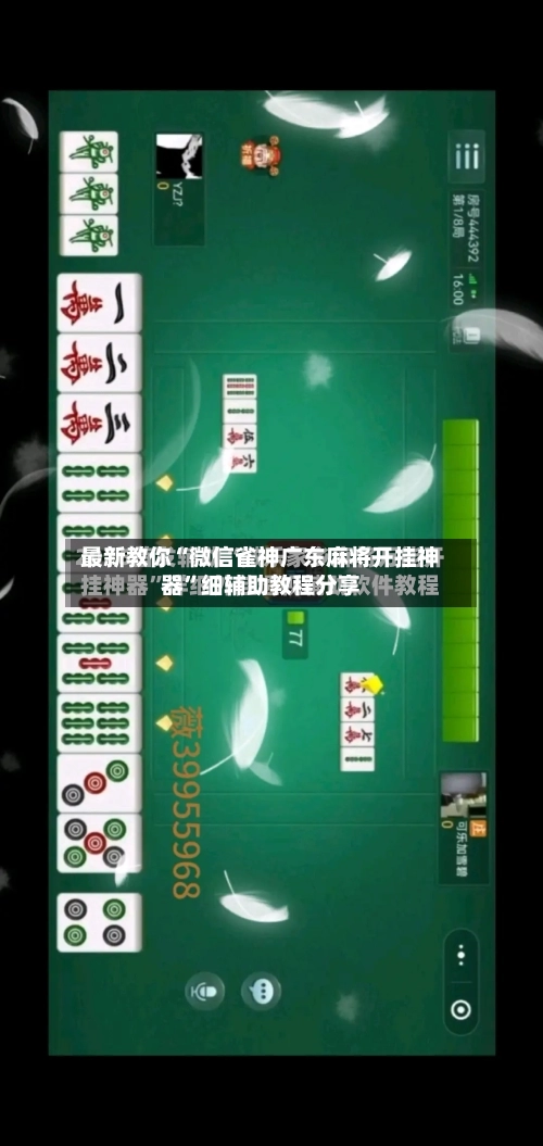 最新教你“微信雀神广东麻将开挂神器”细辅助教程分享-第3张图片