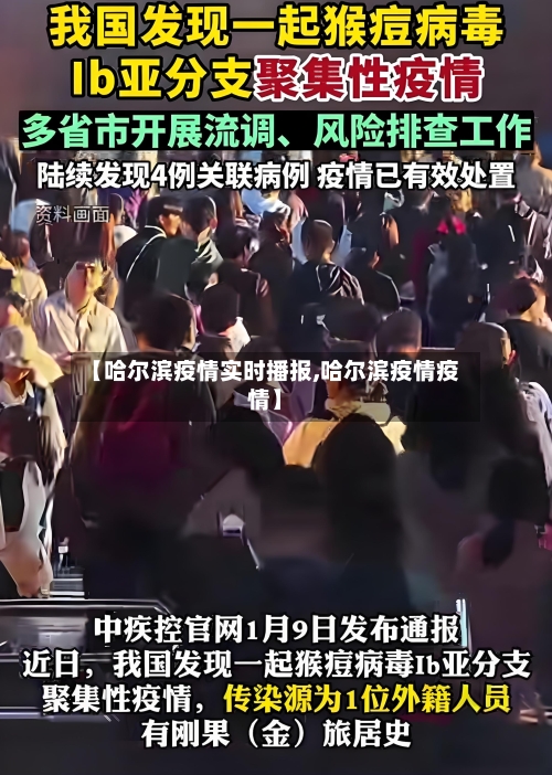 【哈尔滨疫情实时播报,哈尔滨疫情疫情】