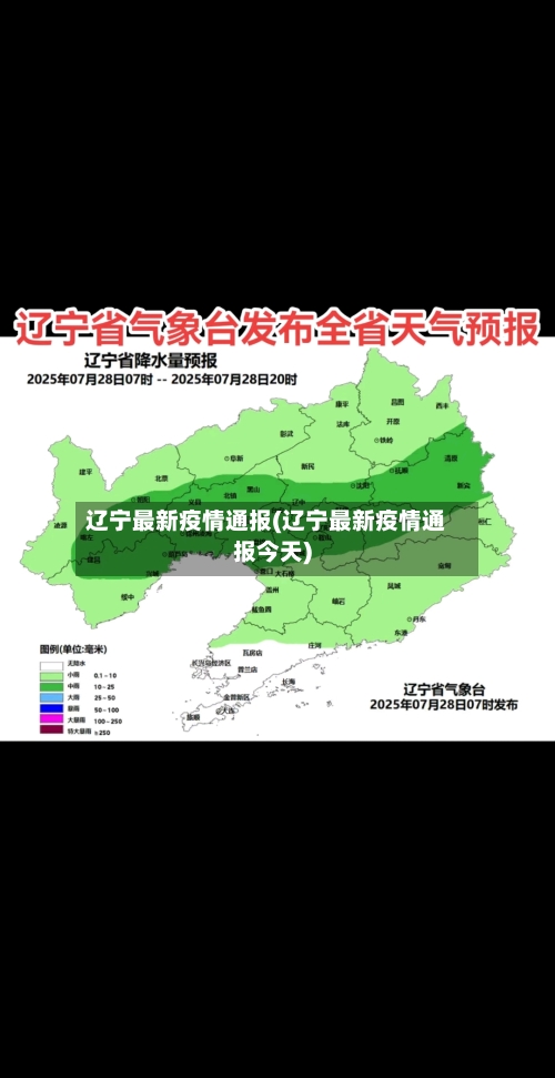 辽宁最新疫情通报(辽宁最新疫情通报今天)-第3张图片