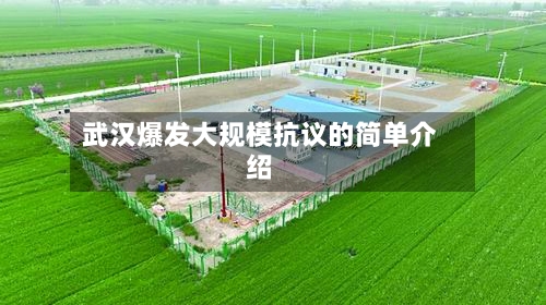 武汉爆发大规模抗议的简单介绍