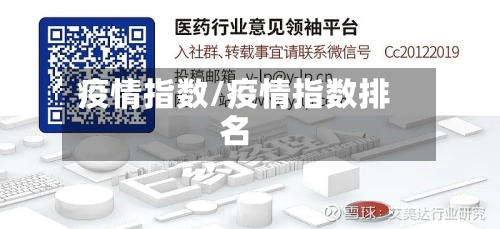 疫情指数/疫情指数排名-第3张图片