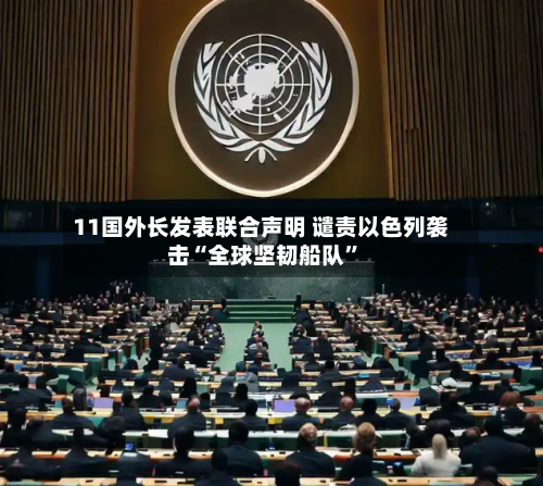 11国外长发表联合声明 谴责以色列袭击“全球坚韧船队	”-第3张图片