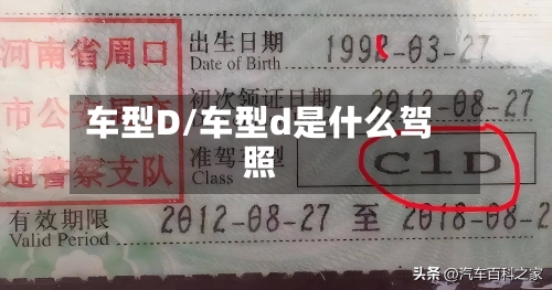 车型D/车型d是什么驾照