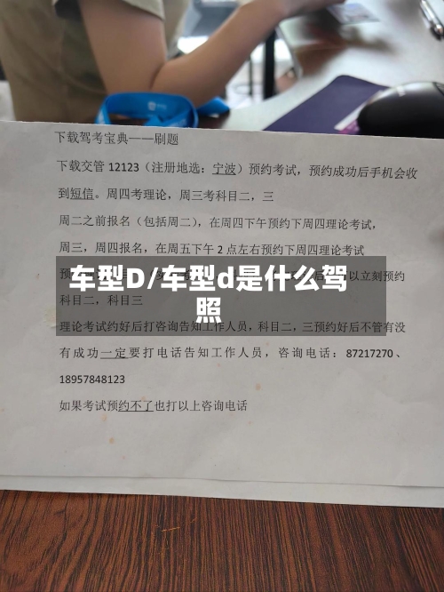 车型D/车型d是什么驾照-第2张图片