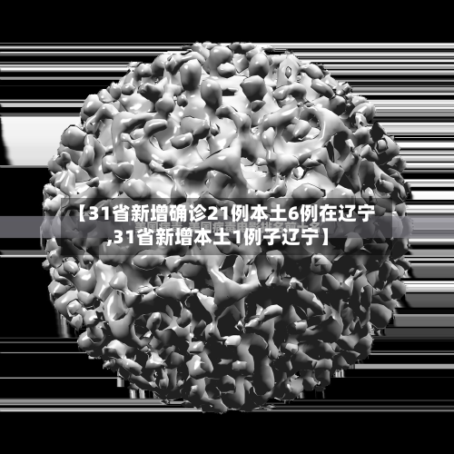 【31省新增确诊21例本土6例在辽宁,31省新增本土1例子辽宁】-第2张图片