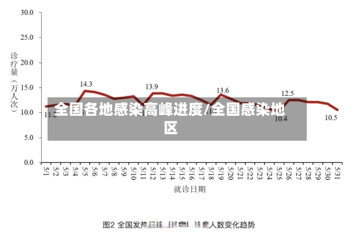 全国各地感染高峰进度/全国感染地区