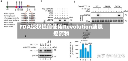 FDA授权提前使用Revolution胰腺癌药物