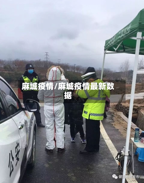 麻城疫情/麻城疫情最新数据-第2张图片