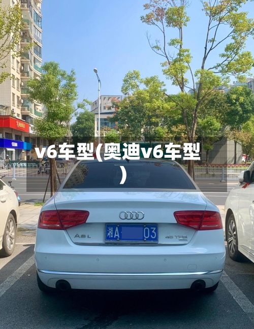 v6车型(奥迪v6车型)