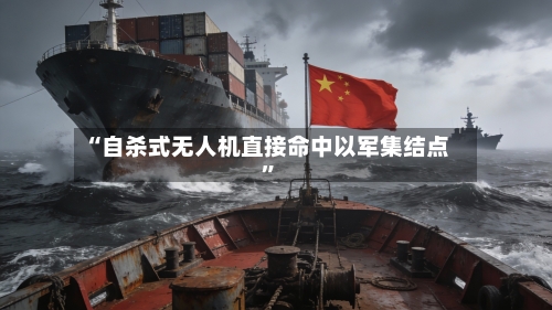 “自杀式无人机直接命中以军集结点”-第2张图片