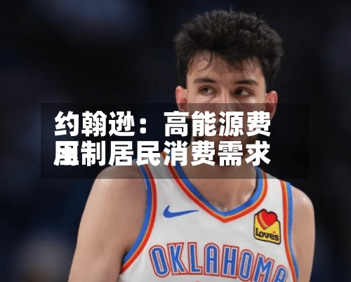 约翰逊：高能源费用压制居民消费需求