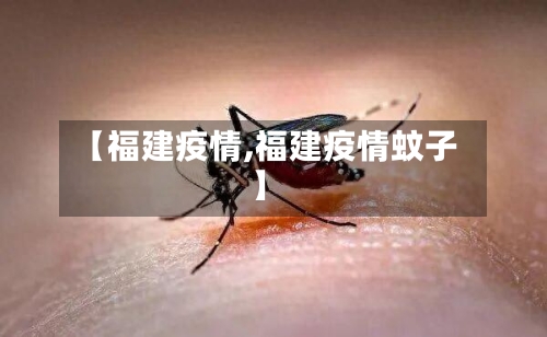 【福建疫情,福建疫情蚊子】-第2张图片