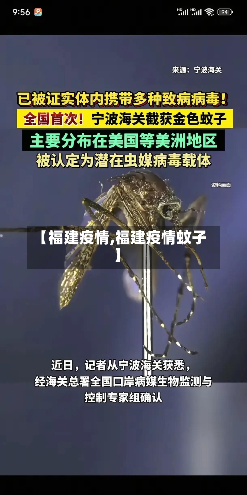 【福建疫情,福建疫情蚊子】-第3张图片