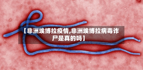 【非洲埃博拉疫情,非洲埃博拉病毒诈尸是真的吗】