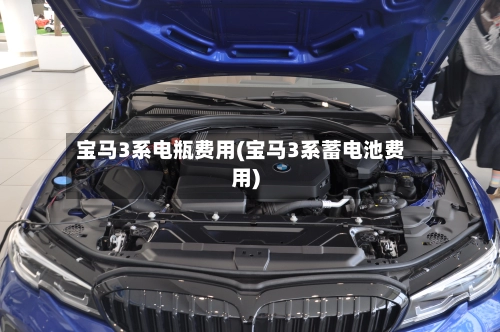宝马3系电瓶费用(宝马3系蓄电池费用)-第2张图片
