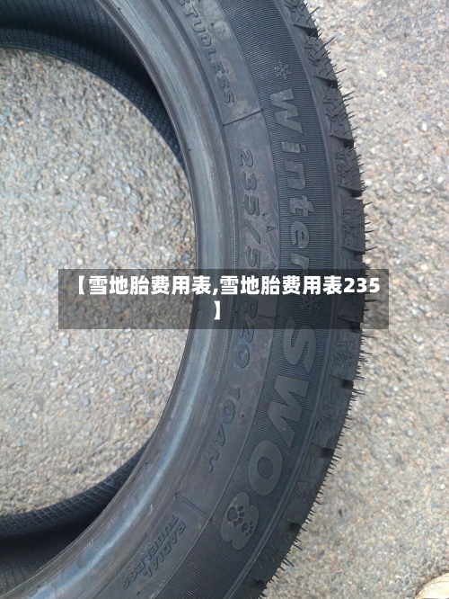 【雪地胎费用表,雪地胎费用表235】-第3张图片