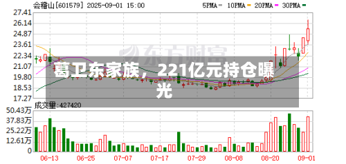 葛卫东家族，221亿元持仓曝光-第2张图片