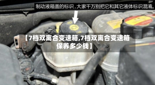 【7档双离合变速箱,7档双离合变速箱保养多少钱】-第2张图片