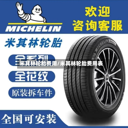 米其林轮胎费用/米其林轮胎费用表