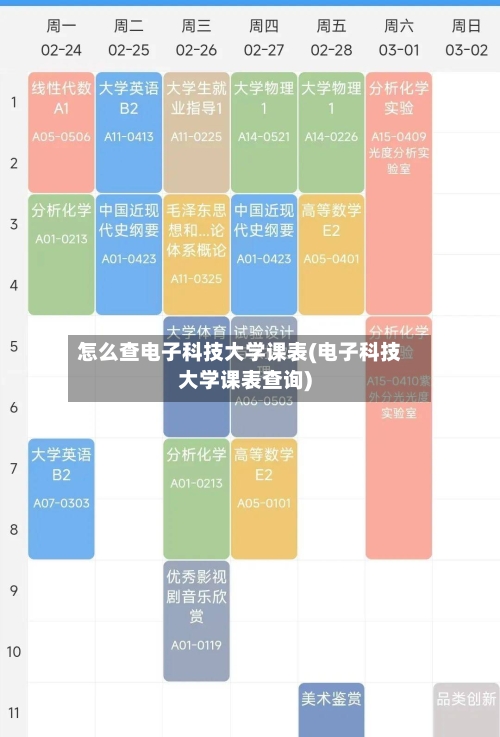 怎么查电子科技大学课表(电子科技大学课表查询)