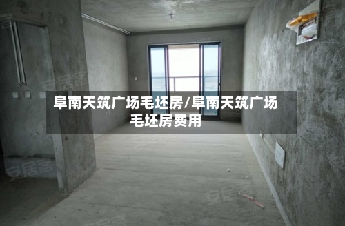 阜南天筑广场毛坯房/阜南天筑广场毛坯房费用-第2张图片