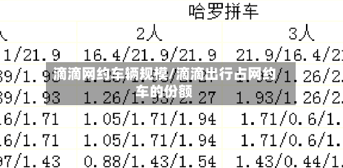 滴滴网约车辆规模/滴滴出行占网约车的份额