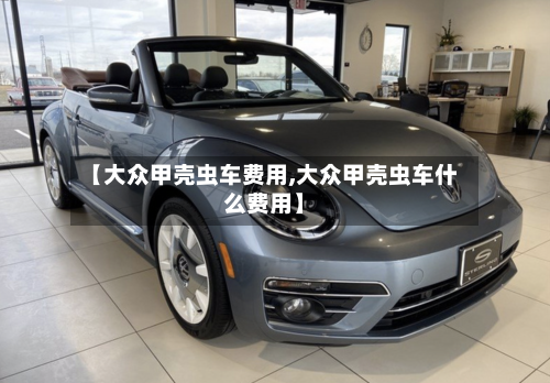 【大众甲壳虫车费用,大众甲壳虫车什么费用】-第2张图片