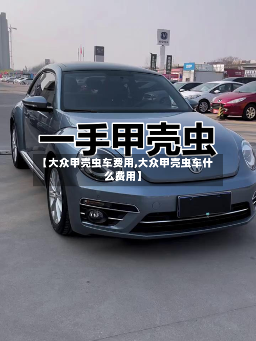 【大众甲壳虫车费用,大众甲壳虫车什么费用】