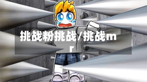 挑战粉挑战/挑战mr