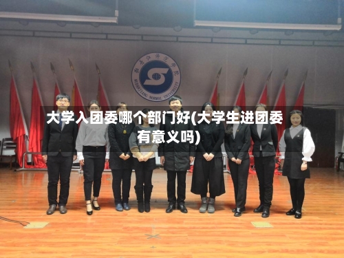 大学入团委哪个部门好(大学生进团委有意义吗)-第2张图片