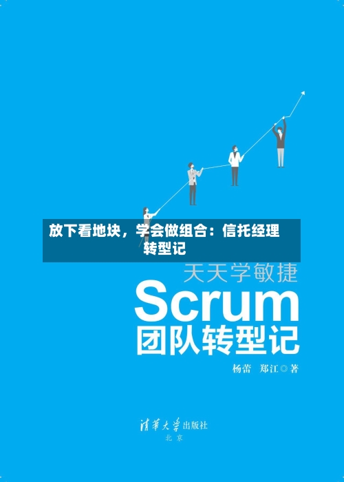 放下看地块	，学会做组合：信托经理转型记-第2张图片