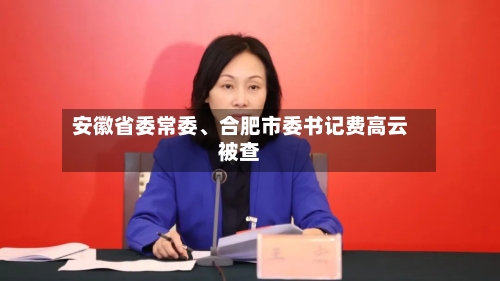 安徽省委常委	、合肥市委书记费高云被查-第2张图片