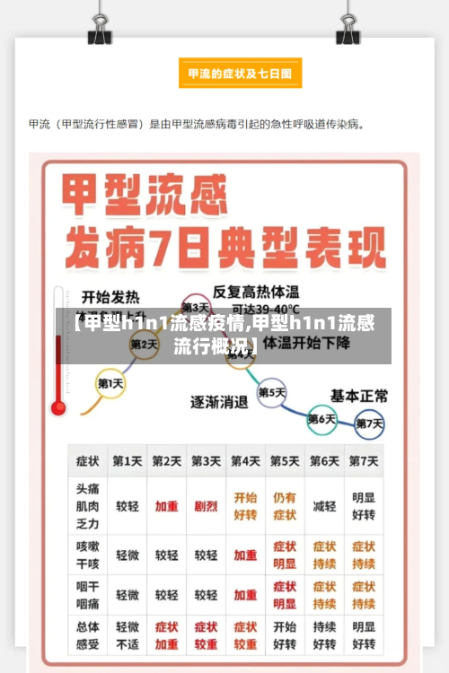 【甲型h1n1流感疫情,甲型h1n1流感流行概况】