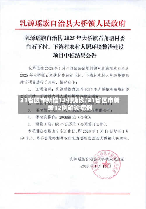 31省区市新增12例确诊/31省区市新增12例确诊病例