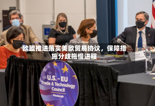 欧盟推进落实美欧贸易协议，保障措施分歧拖慢进程-第2张图片