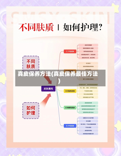 真皮保养方法(真皮保养最佳方法)-第2张图片