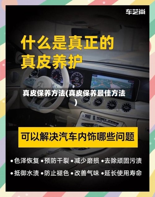 真皮保养方法(真皮保养最佳方法)-第3张图片