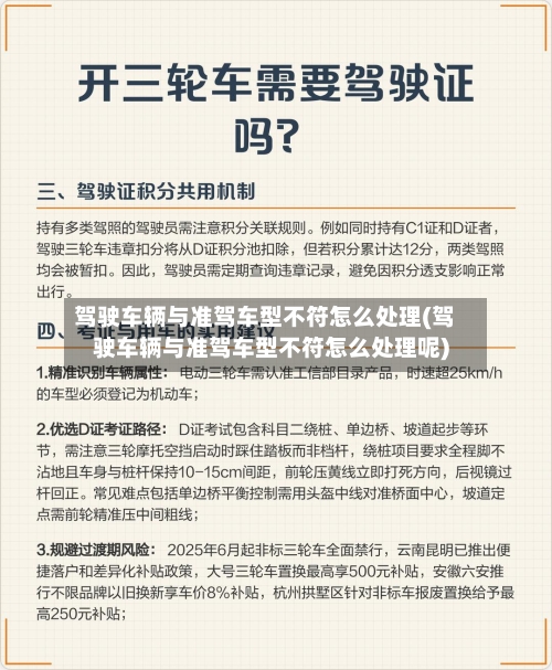 驾驶车辆与准驾车型不符怎么处理(驾驶车辆与准驾车型不符怎么处理呢)