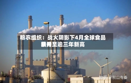 粮农组织：战火阴影下4月全球食品费用攀升至逾三年新高-第3张图片