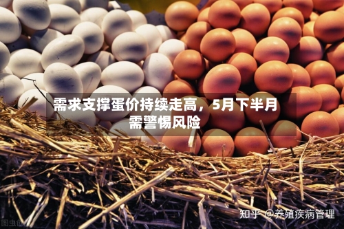 需求支撑蛋价持续走高，5月下半月需警惕风险-第2张图片
