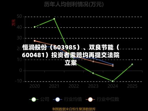 恒润股份（603985）、双良节能（600481）投资者索赔均再提交法院立案-第2张图片