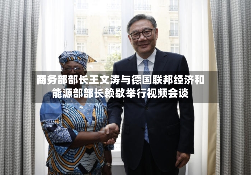 商务部部长王文涛与德国联邦经济和能源部部长赖歇举行视频会谈-第3张图片