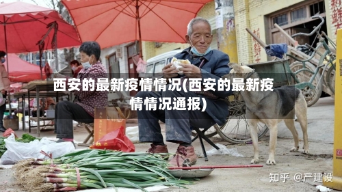 西安的最新疫情情况(西安的最新疫情情况通报)-第2张图片