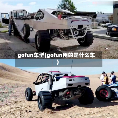 gofun车型(gofun用的是什么车)